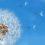 Change management required for decade of technology