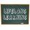 In pursuit of lifelong learning