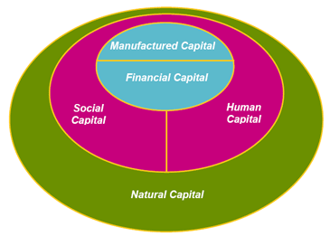 Five Capitals of Sustainability