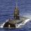 AIPM supports submarine project, warns of past failure