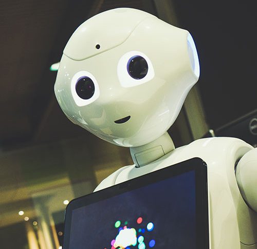 AI, Pepper, robot (photo by Owen Beard)