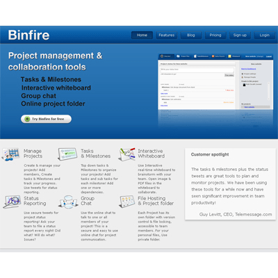 Project management software review: Binfire