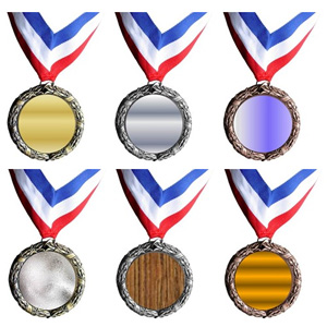 Using Six Value Medals to identify risk