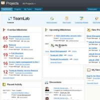 Project management software review: Teamlab