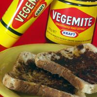 The language of project management