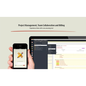 Project management software review: activeCollab