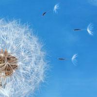 Change management required for decade of technology