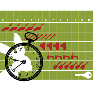 Understanding the Complex Projects Contract