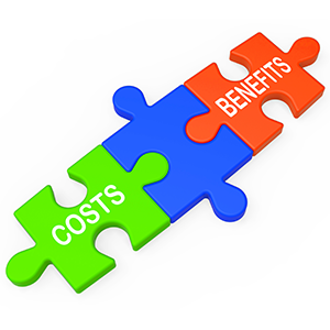 The cost benefit of project team members