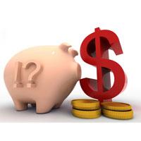 Project costs in translation