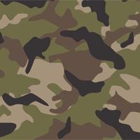 Project management and modern warfare