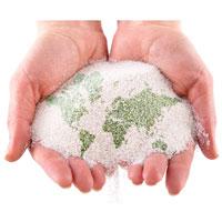 Project management in the developing world