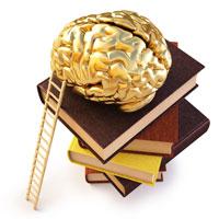 Program management literature, a comparison