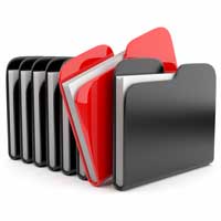 Optimal project portfolio selection