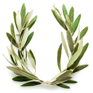 Making meritocracy work for your project team