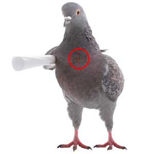 Can your project handle the ugly truth?