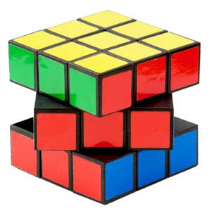 Are we facing a project-based future?