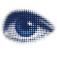 Vision and the role of the project manager